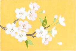 桜　横図　３００.jpg