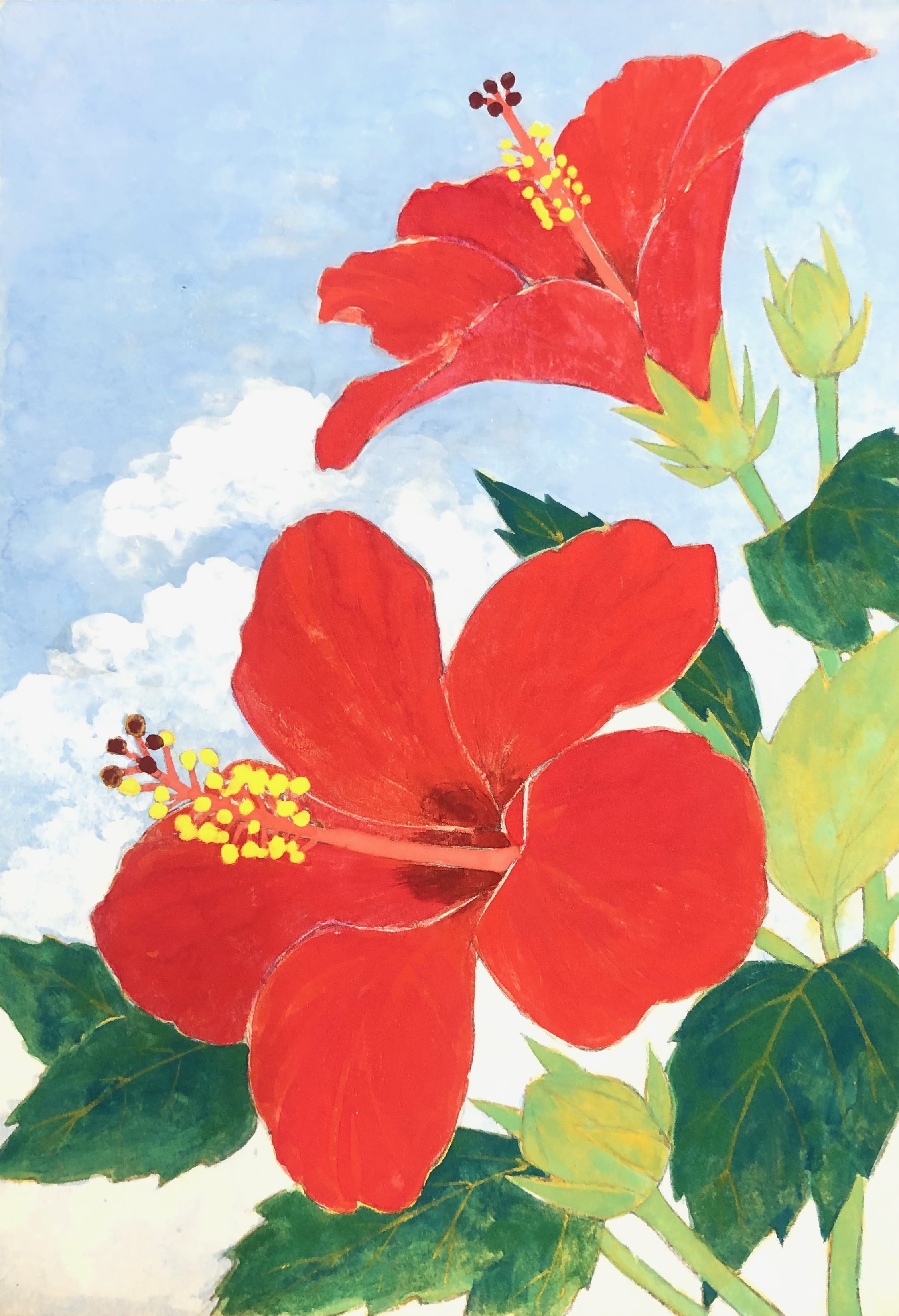 在庫処分 激安 ハイビスカス 院展 清水達三先生 真作です 日本画 絵画